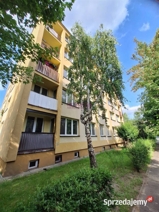Mieszkanie Rybnik 4895m2 2 pokoje Piętro 3 sprzedam