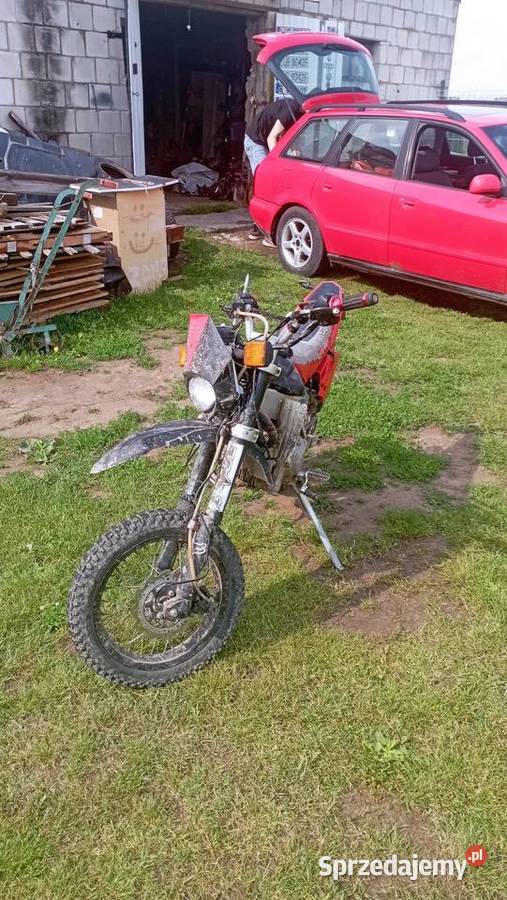 Kingway Apollo 50140 Mełgiew