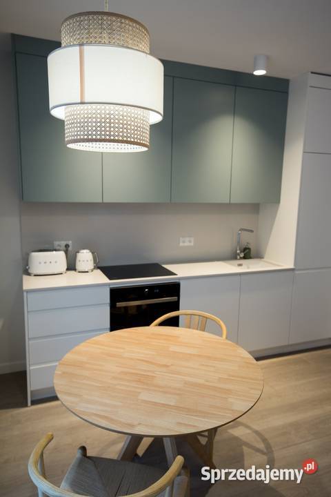 Centrum Gdańska Wyspie Spichrzów Studio Nowy