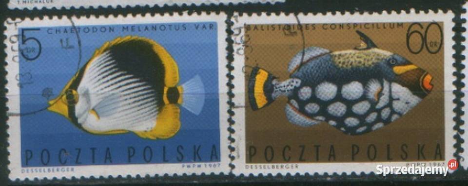 Zn Fi 1592 9 600 3 18 20 2Pw 7 34 5 68kas 1967 Gliwice