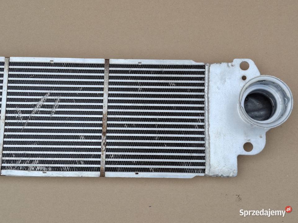 VW TRANSPORTER T5 T5 LIFT T6 INTERCOOLER Bieleń