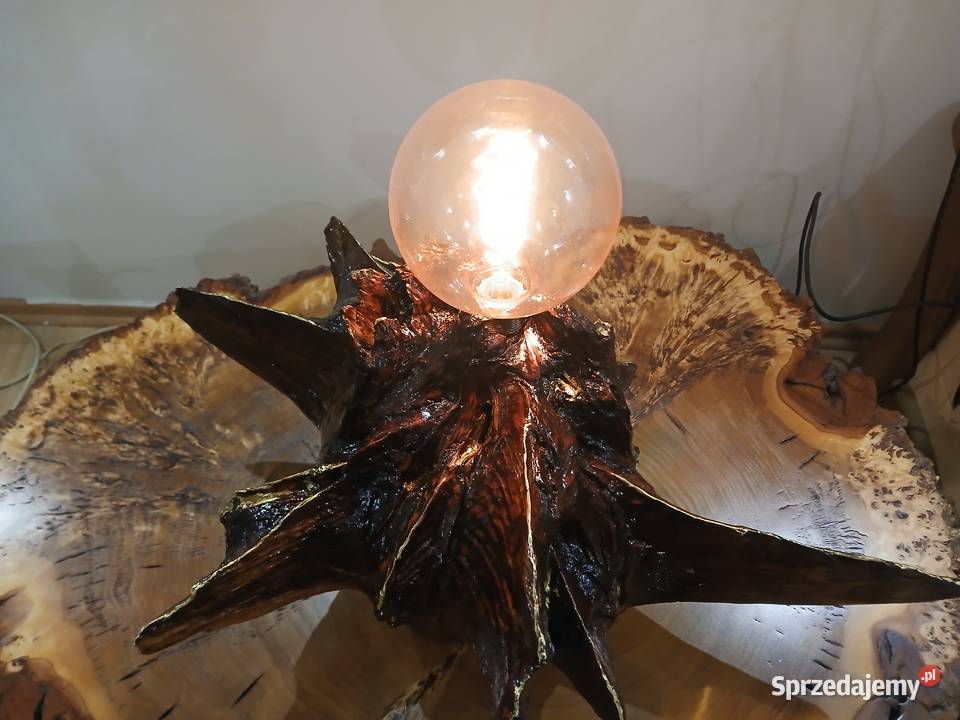 Lampa z dębowego korzenia Lampy stołowe i nocne