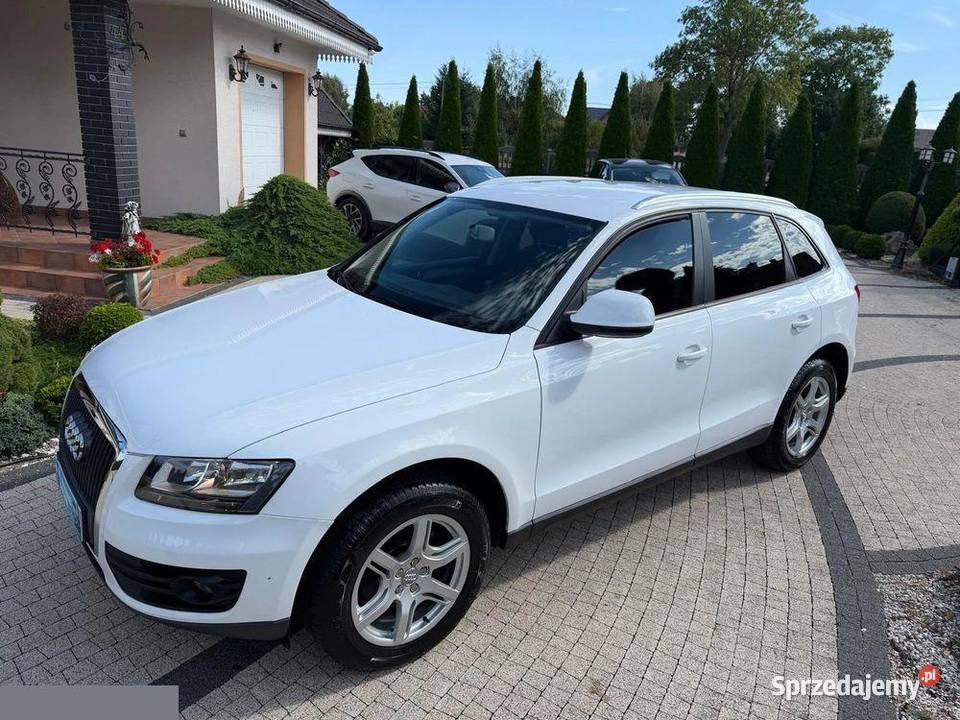 Audi Q5 20 TDI Quattro Stronic 170 2010r Możliwa Motoryzacja Krotoszyn