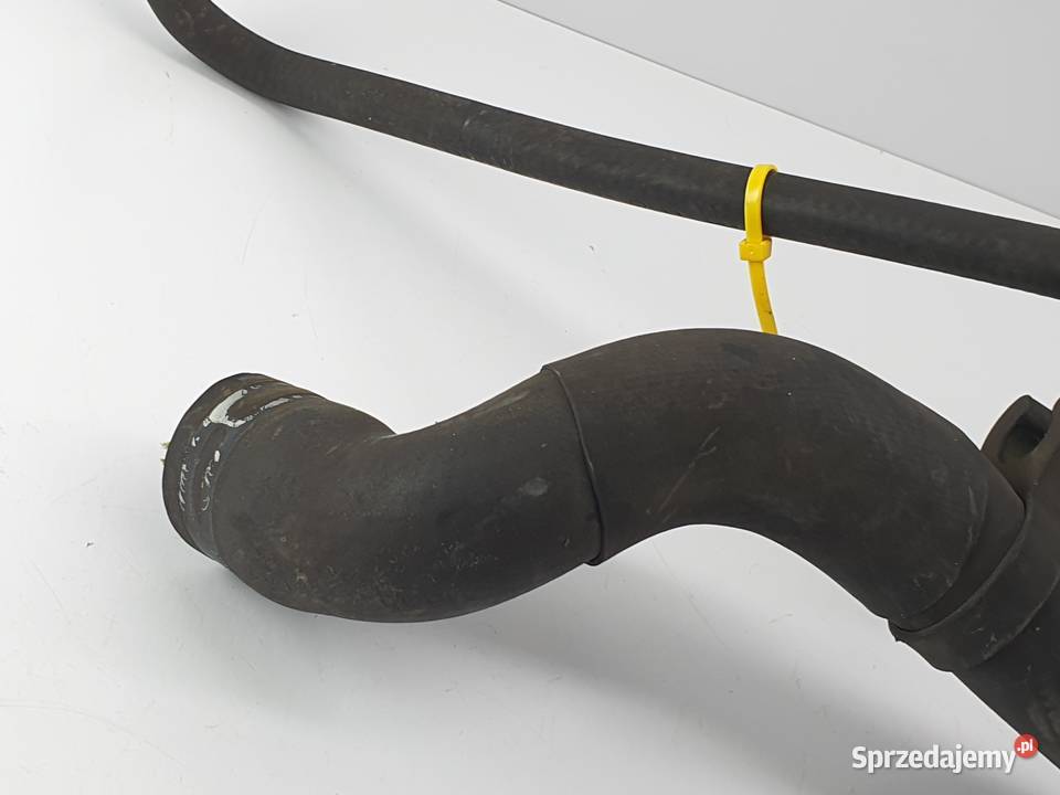 Krociec Wody Waz Przewod Skoda Fabia I Seat Polo łódzkie Łódź