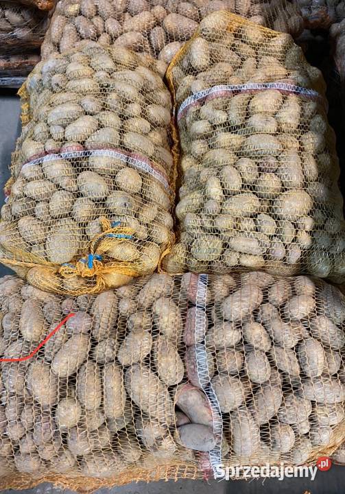 Sprzedam ziemniaki paszowe odsort sortowania łódzkie