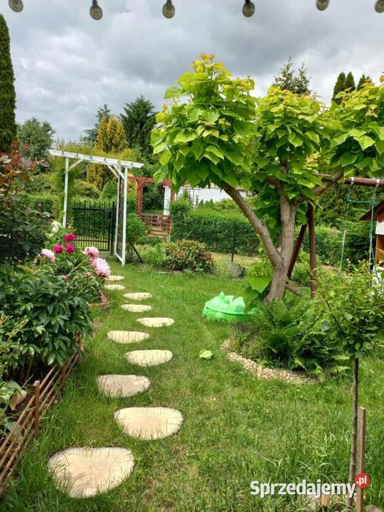 Dzialka ROD Bernatówka64 Dys sprzedam