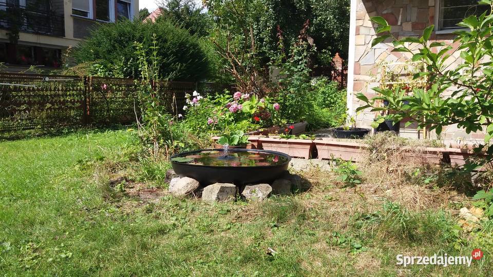 Donica o śr 80 Wrocław