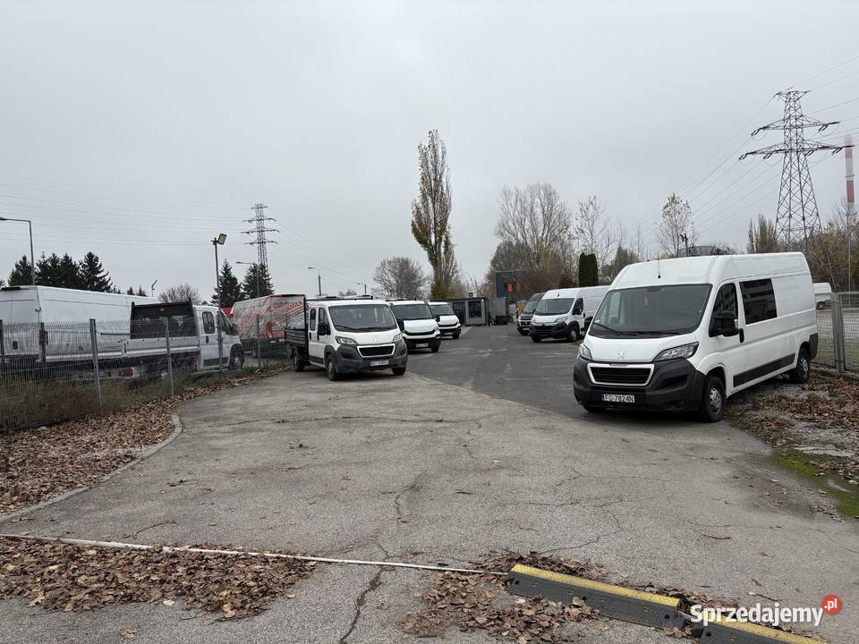 Do wynajęcia dziełka Augustowka 22 1500m2 mazowieckie Warszawa