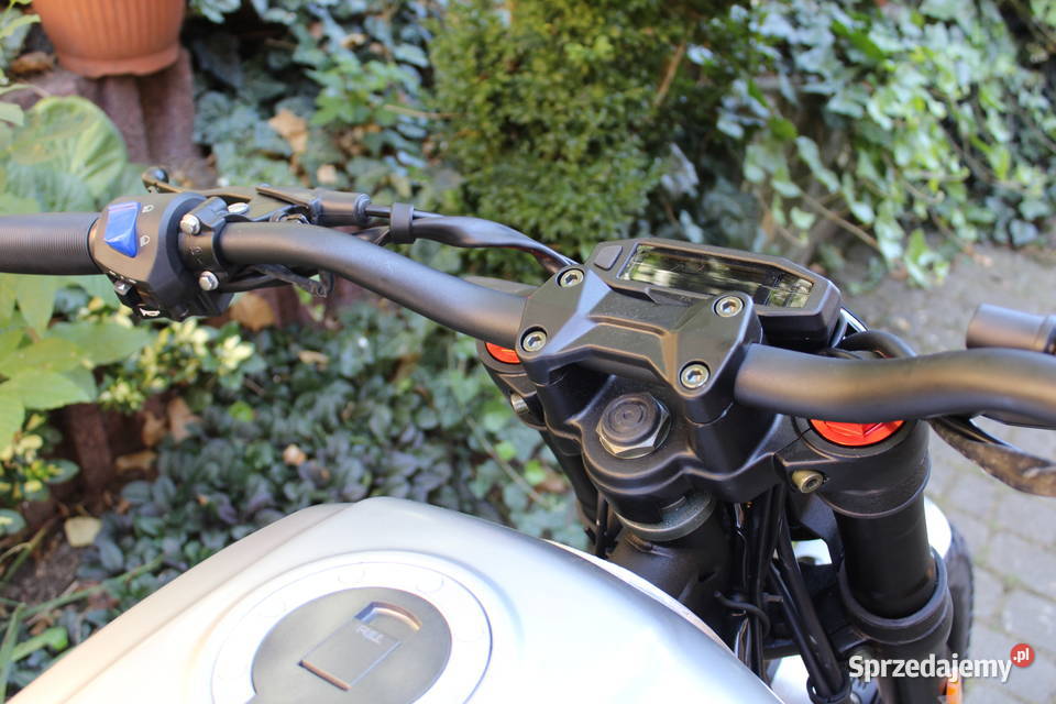 Zipp Scrambler 125 Gostyń