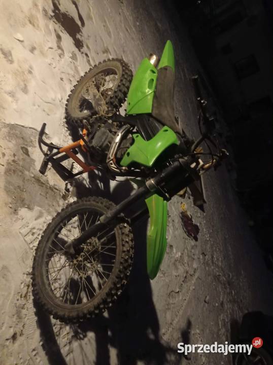 Diabolini nieuszkodzony sprzedam