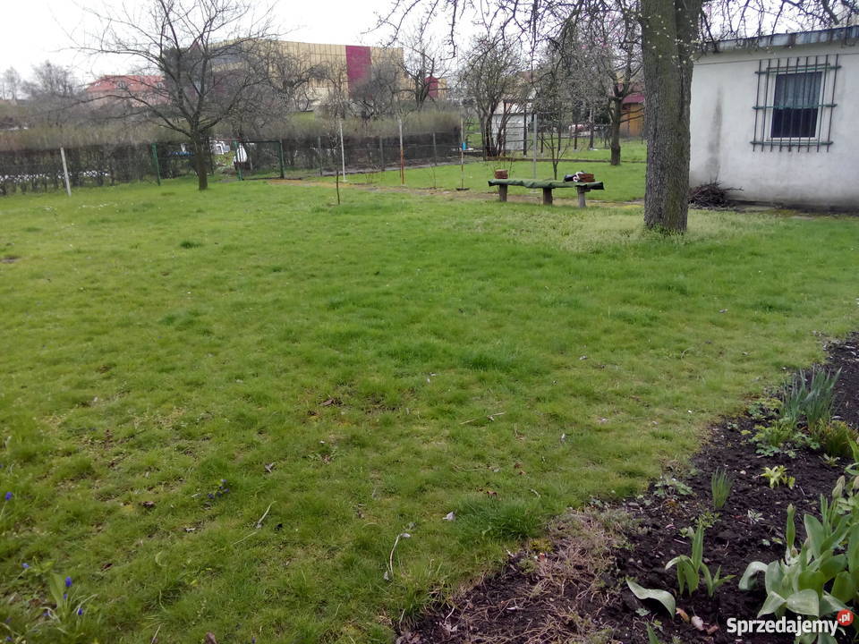 Sprzedam działkę w ROD Magnolia Legnica 21zł/m2 dolnośląskie Legnica