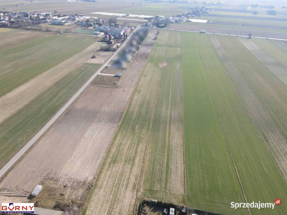 Działka Gomulin 16400m2 łódzkie