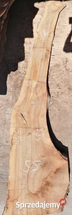 Suche deski foszty monolit orzecha orzech Kamyk