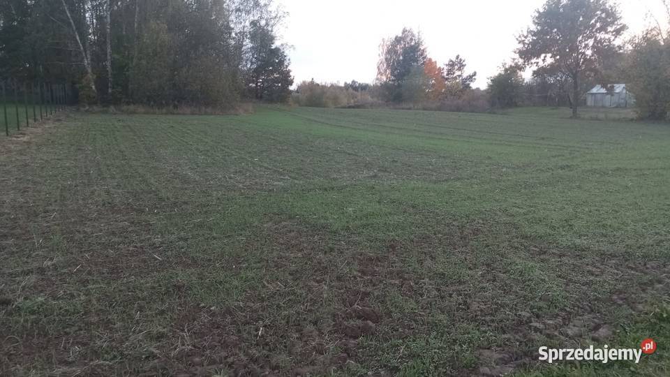 Sprzedam działkę budowlaną z laskiem sosnowym budowlana Godów