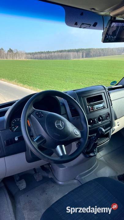 Koniowóz Sprinter do transportu koni dolnośląskie Bolesławiec