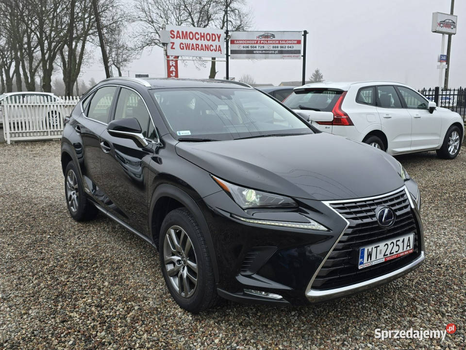 Lexus NX 300h HYBRID AWD 4x4 Elegance Salon lakier metallic Włocławek