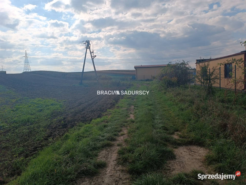 Działka Proszowice 9901m2 370m