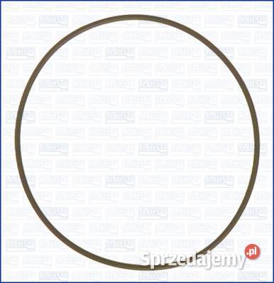 Oring 14455281