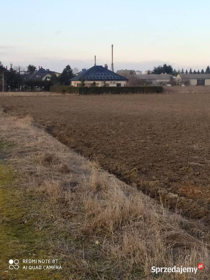Działka budowlana Niemce Orzechowa 203626 sprzedam