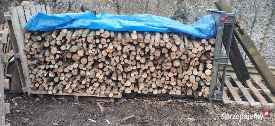 Drewno opałowe Szczecin