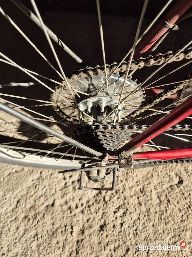 Rower z silnikiem spalinowym Pozostałe Gulcz