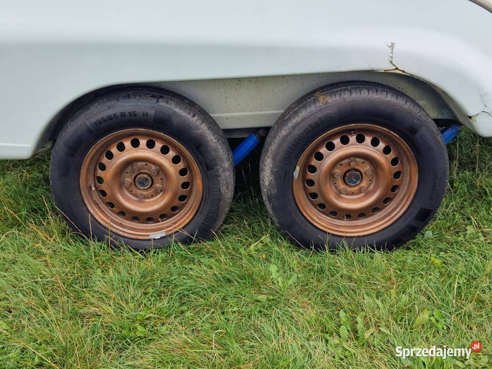 Przyczepa do przewozu koni SLUIS Olymp Piekoszów