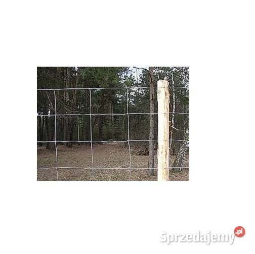 Siatka leśnabudowlana 2001430 L rolka 50mb dolnośląskie sprzedam