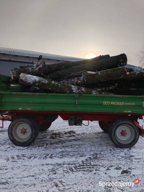Drzewo olszyna paletówka paletowe opałowe Korzenica
