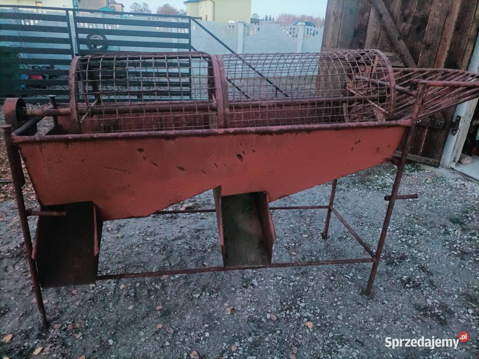 sortownik do ziemniaków