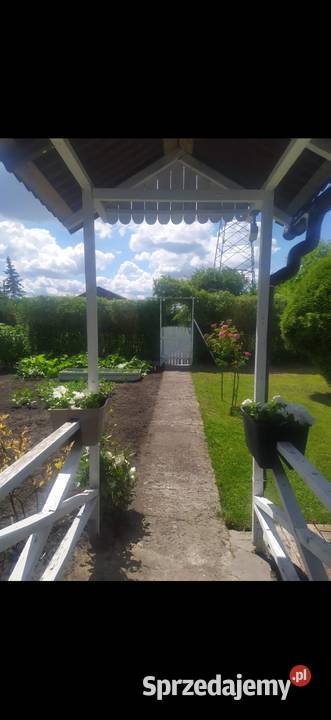 SPRZEDAM DZIAŁKĘ ROD NAFTA sprzedam