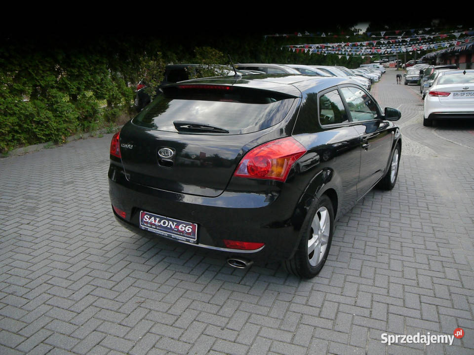 Kia Pro Ceed 14b zwykły silnik Stan b Zarejestrowany w Polsce Kia Częstochowa