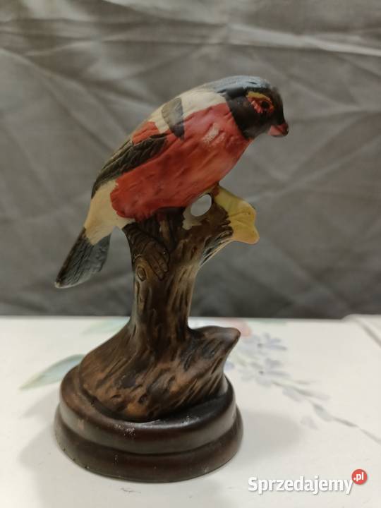 Ptak ptaszek BUBUFINCH lubelskie sprzedam