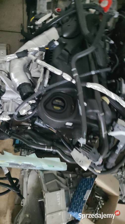 Silnik Ford Transit Kto Naprawia Fordy Transity sprzedam