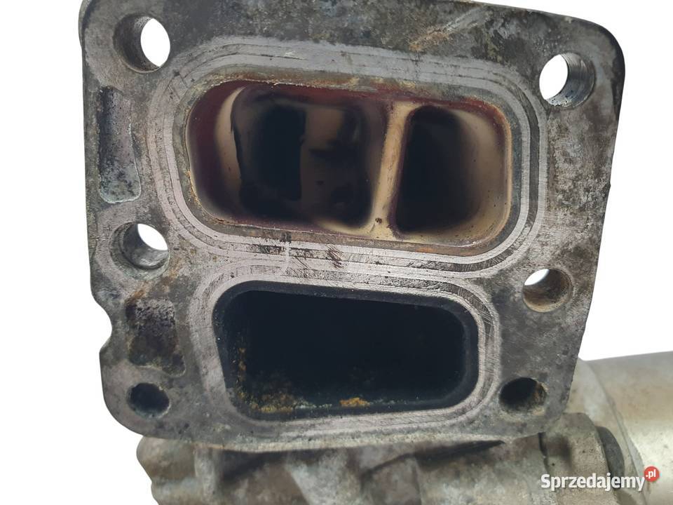 ZAWÓR EGR CHŁODNICA Ford Transit 22 TDCI osobowe lubelskie Chełm