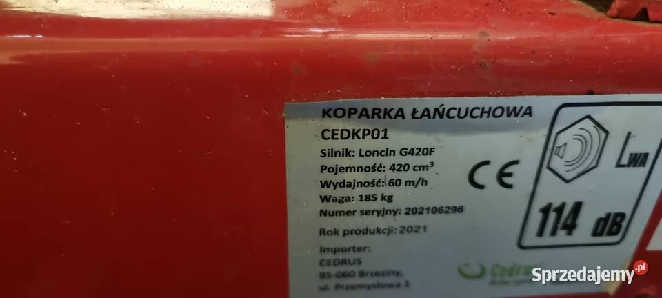 Sprzedam koparkę łańcuchowa cedrus 60 głębokość Gryfice sprzedam