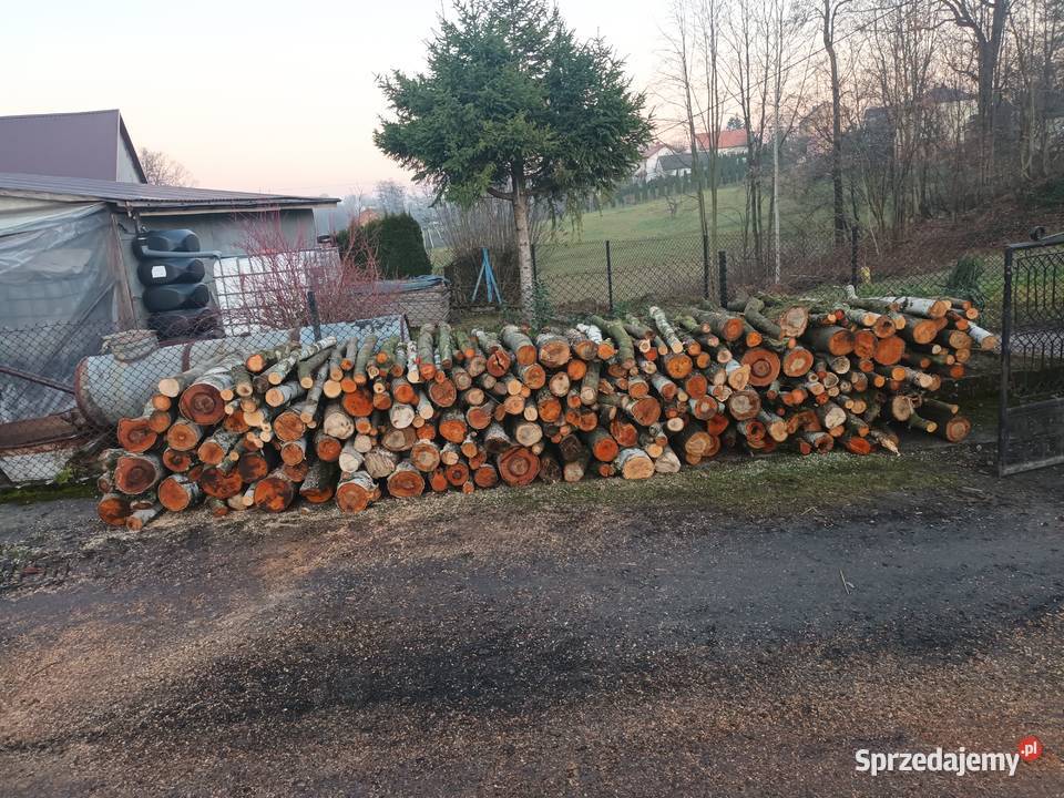 Sprzedam drzewo na opal Bochnia