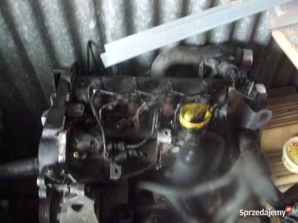 Silnik Renault 19 DCI f8t scenic megane Kraków