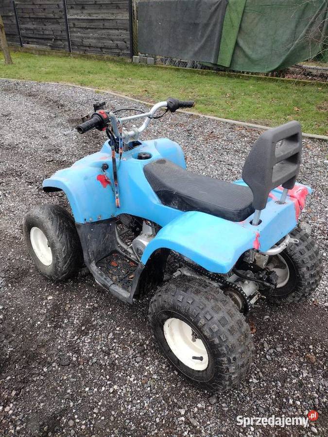Quad ATV 110