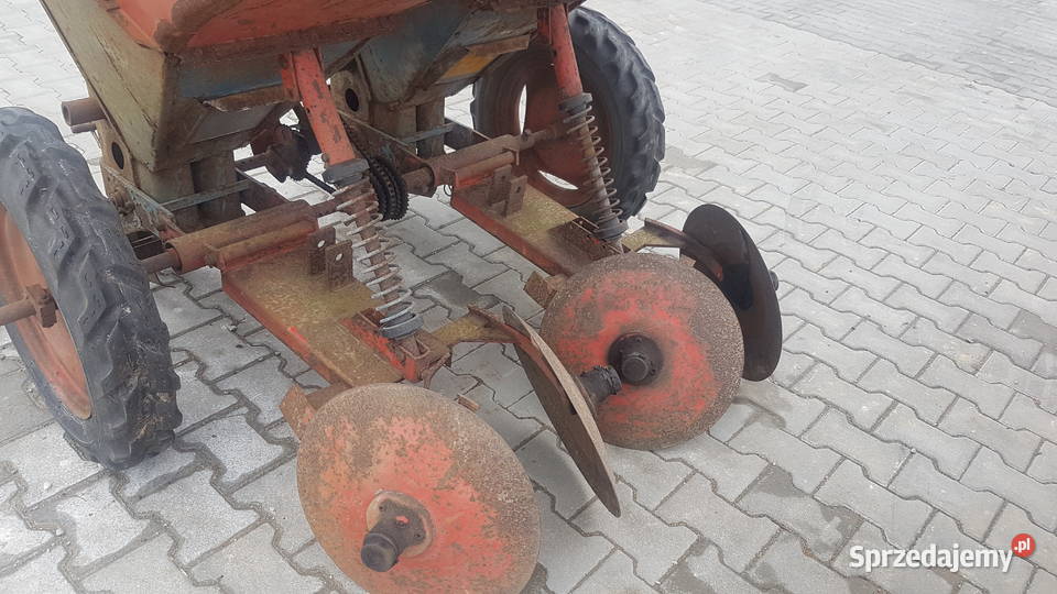 Sadzarka Gruse taśmowa małopolskie Bochnia