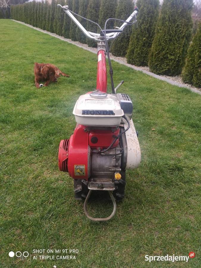 Glebogryzarka Honda sprzedam