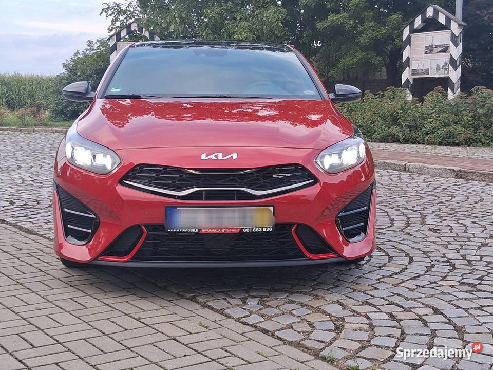 Kia ProCeed GT LINE 16T 204 FULL LED Panorama Rok produkcji 2023 Słupca
