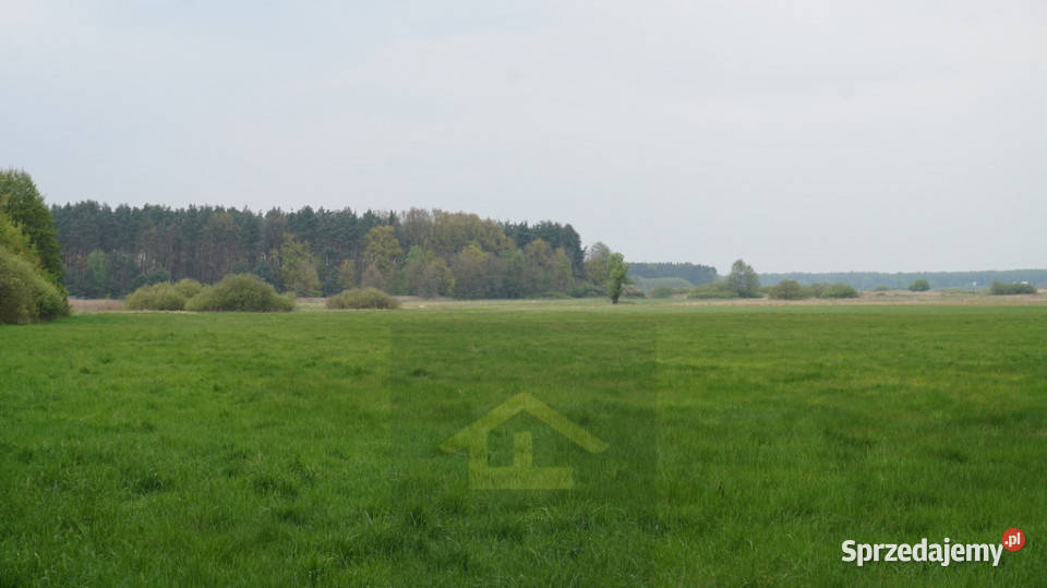 Nieruchomość w Całowaniu Całowanie