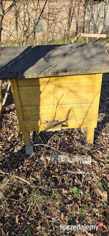 Sprzedam ule Rzeczyca Ziemiańska