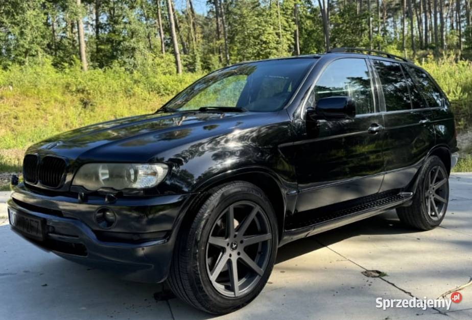 BMW X5 E53 Międzyrzec Podlaski