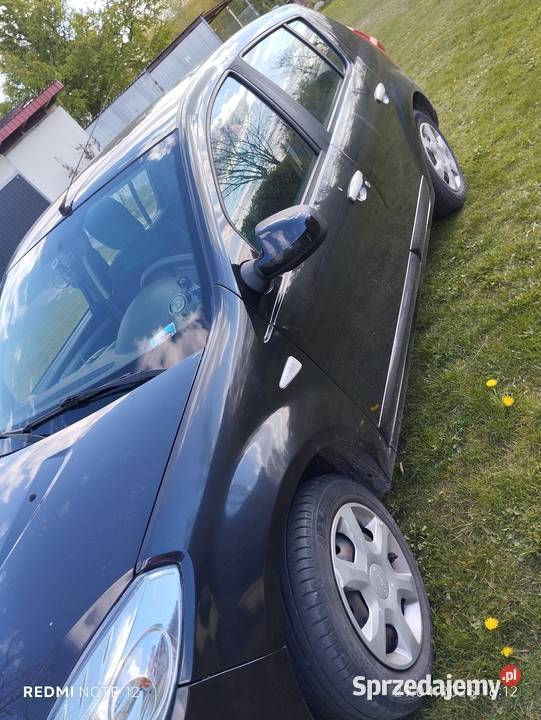 Dacia Sandero 1400cm3 Rusiec