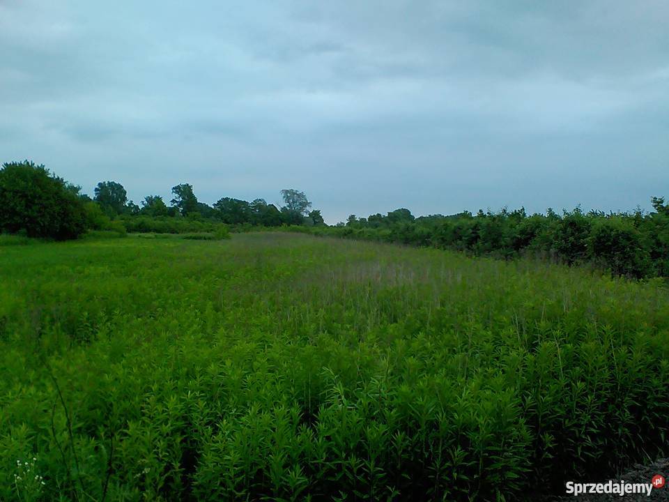 Sprzedam działkę Kępa Nadbrzeska mazowieckie