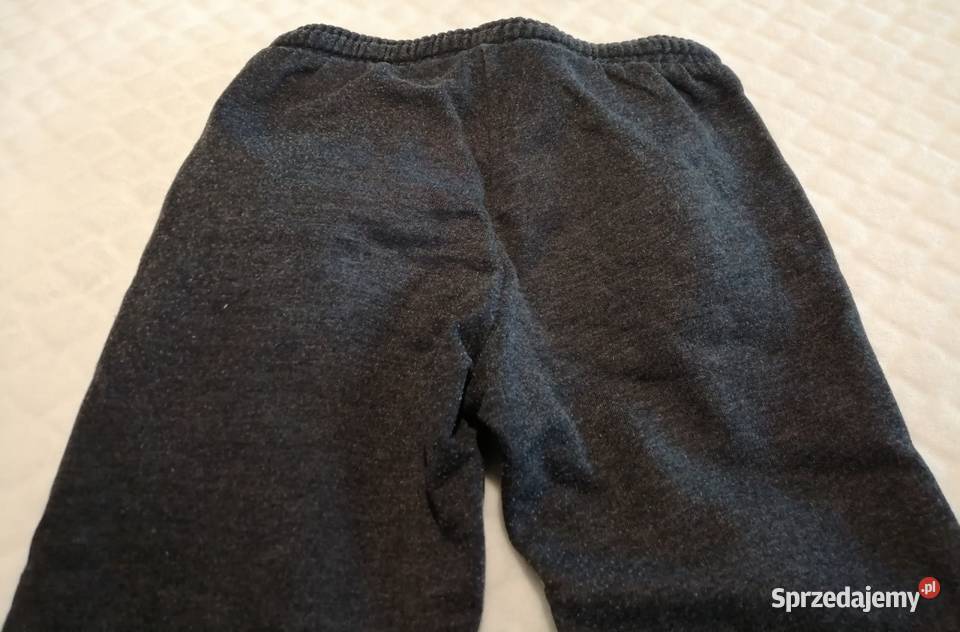 Spodnie dresowe miś polarny 104 Little kids Czeladź