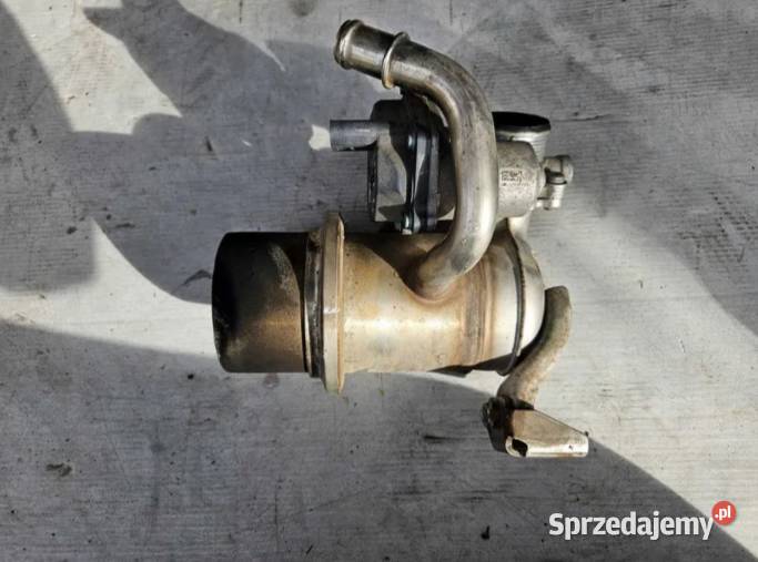 Chłodnica Spalin Zawór Recyrkulacji EGR osobowe Częstochowa