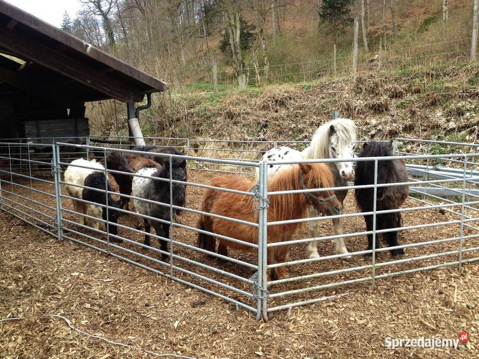 Mini Panel pastwiskowy owiec i kóz wygrodzenie Ogrodzenia i pastuchy małopolskie Nowy Targ