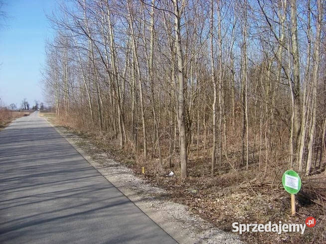 Sprzedam działkę łódzkie Żarnów